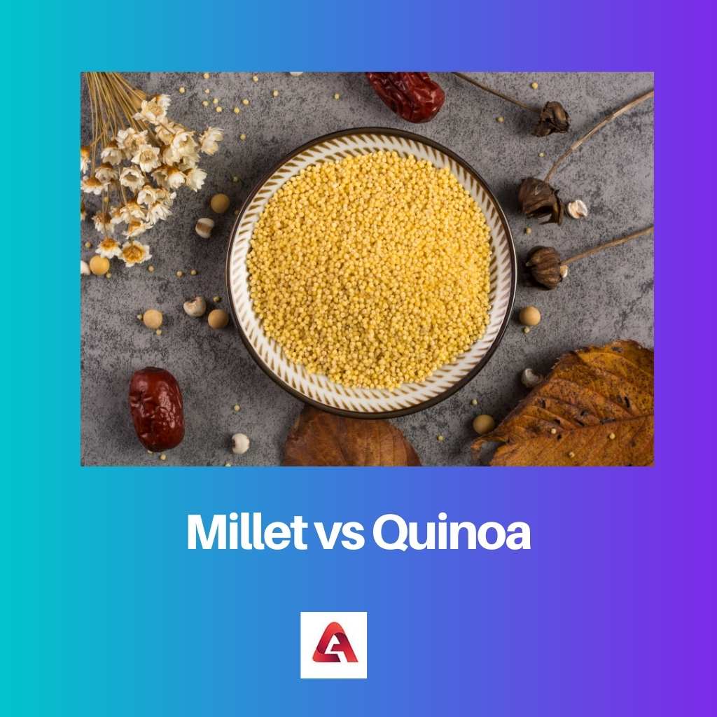 Milho vs Quinoa