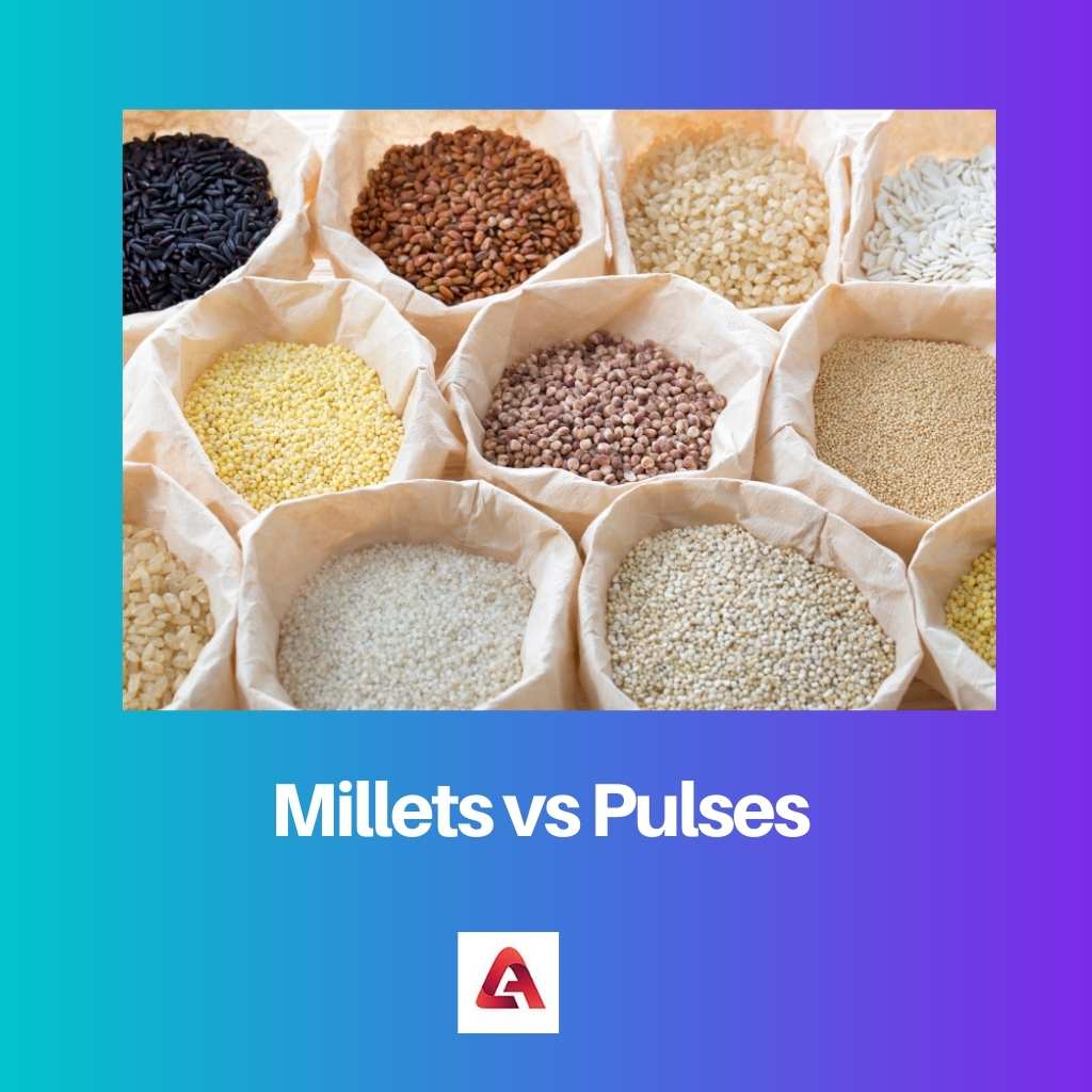 Millet vs Pulsa