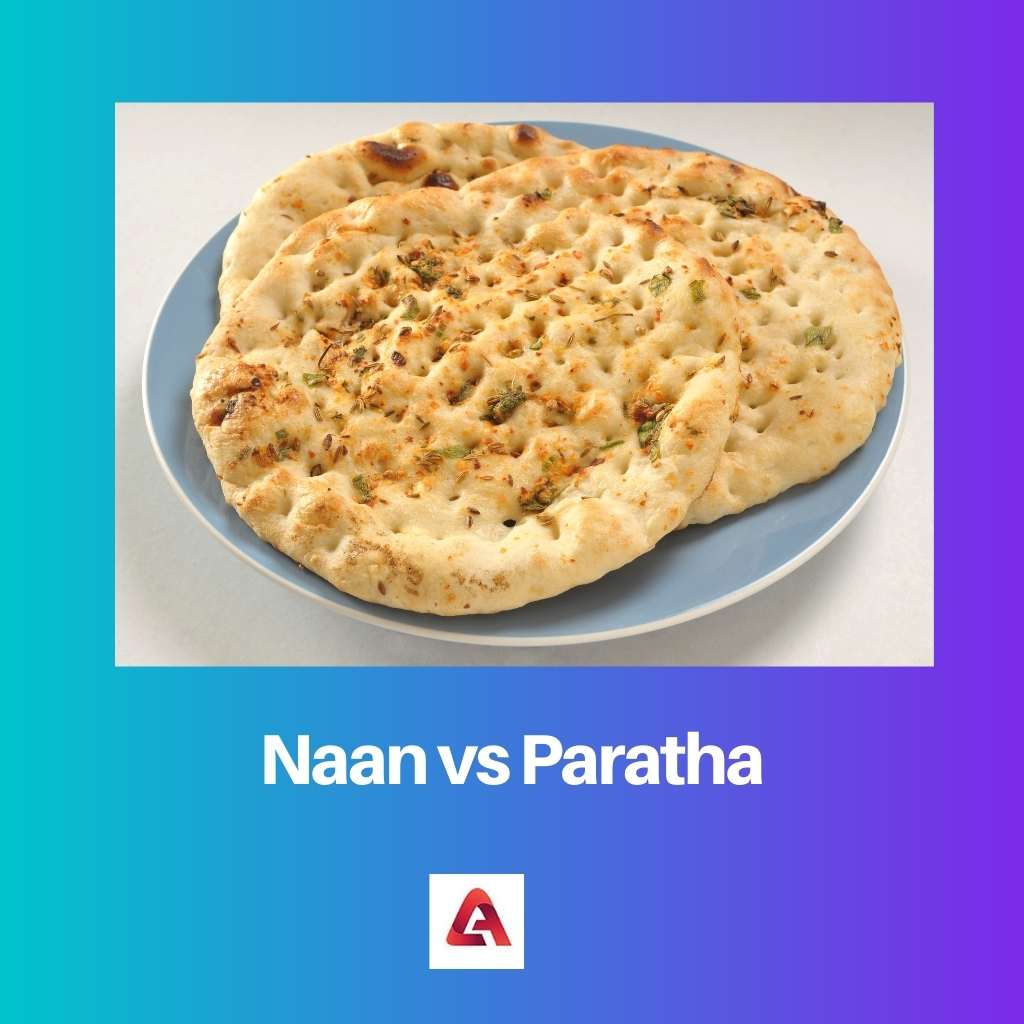 Naan vs Paratha