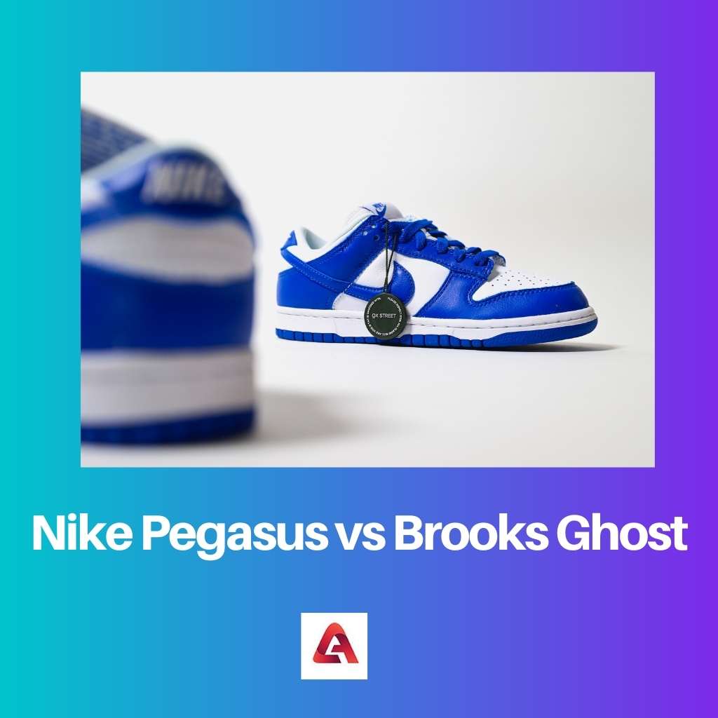Nike Pegasus กับ Brooks Ghost