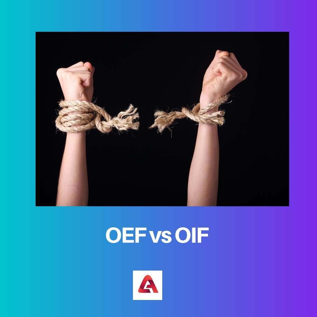 OEF versus OIF