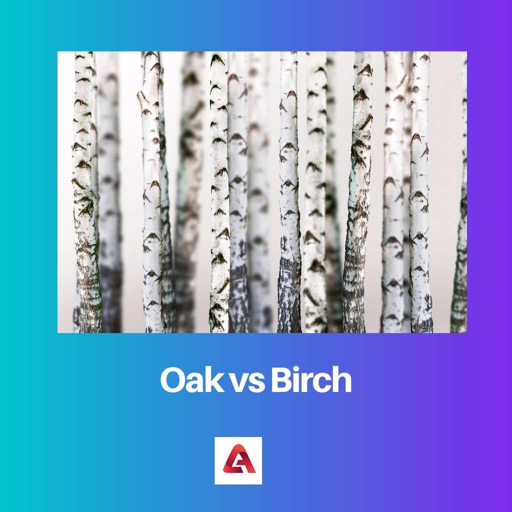 Oak vs Birch