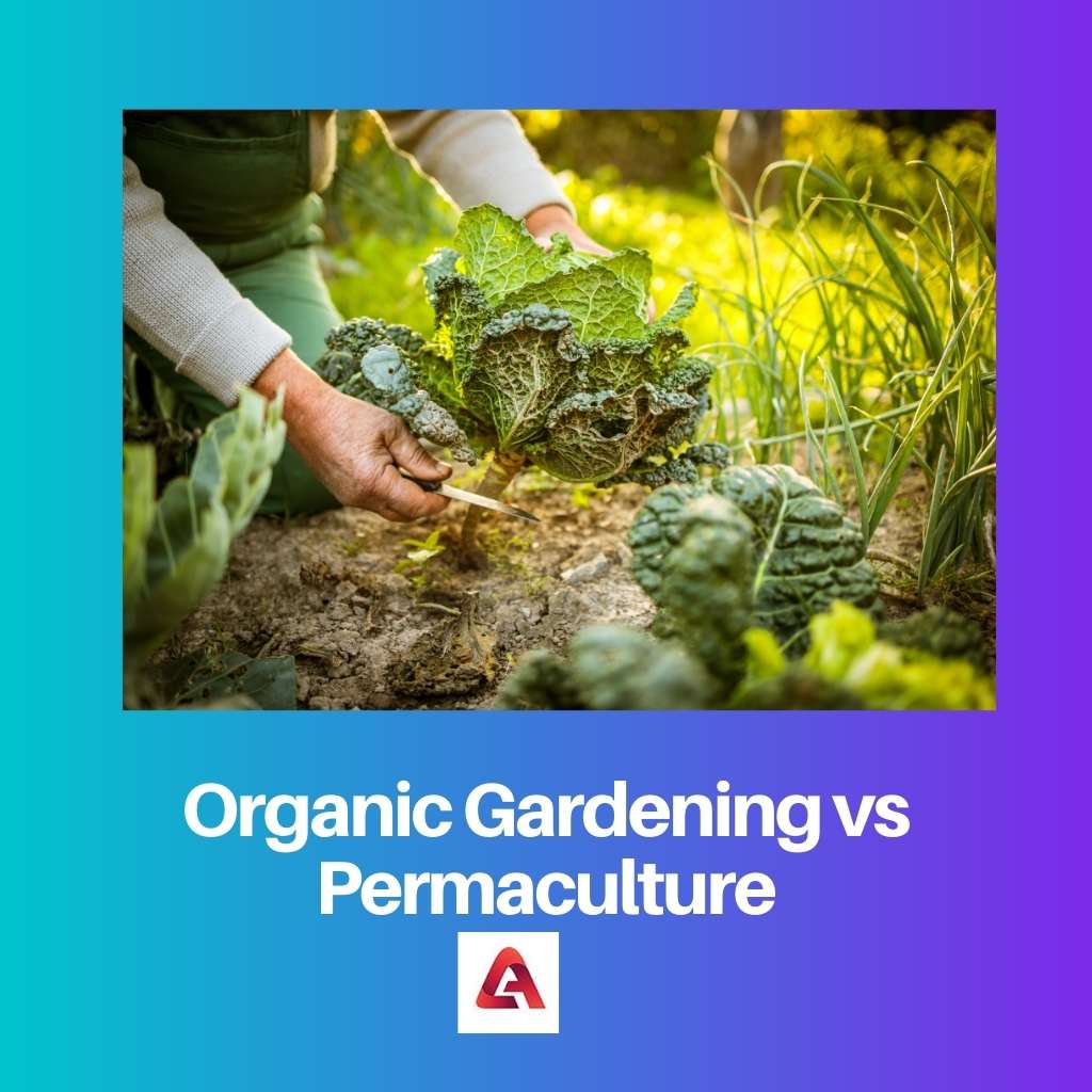 Organic Gardening vs Permaculture