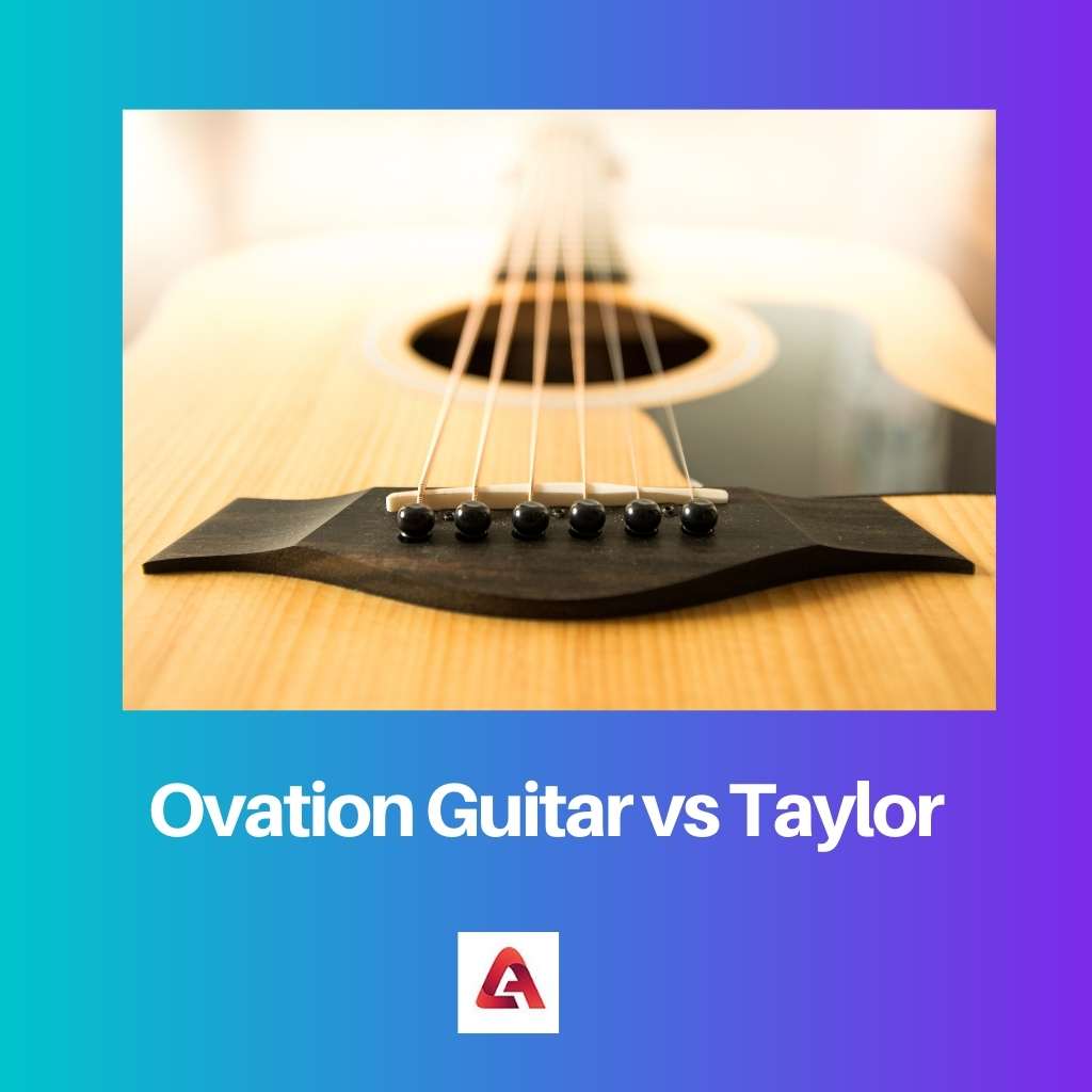Ovation Guitar vs Taylor