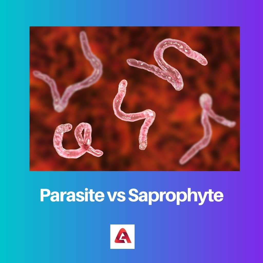 Parasite vs Saprophyte