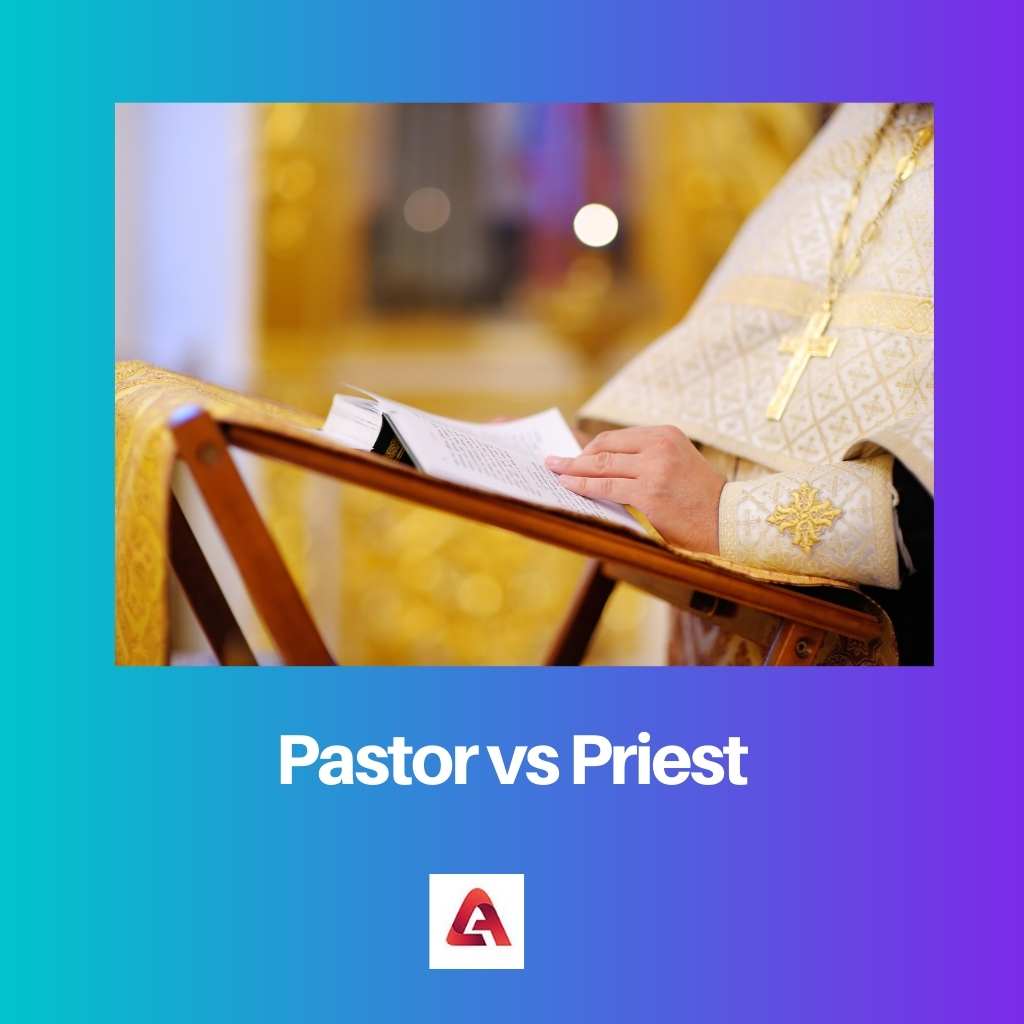 Jaký je rozdíl mezi pastorem a farářem?
