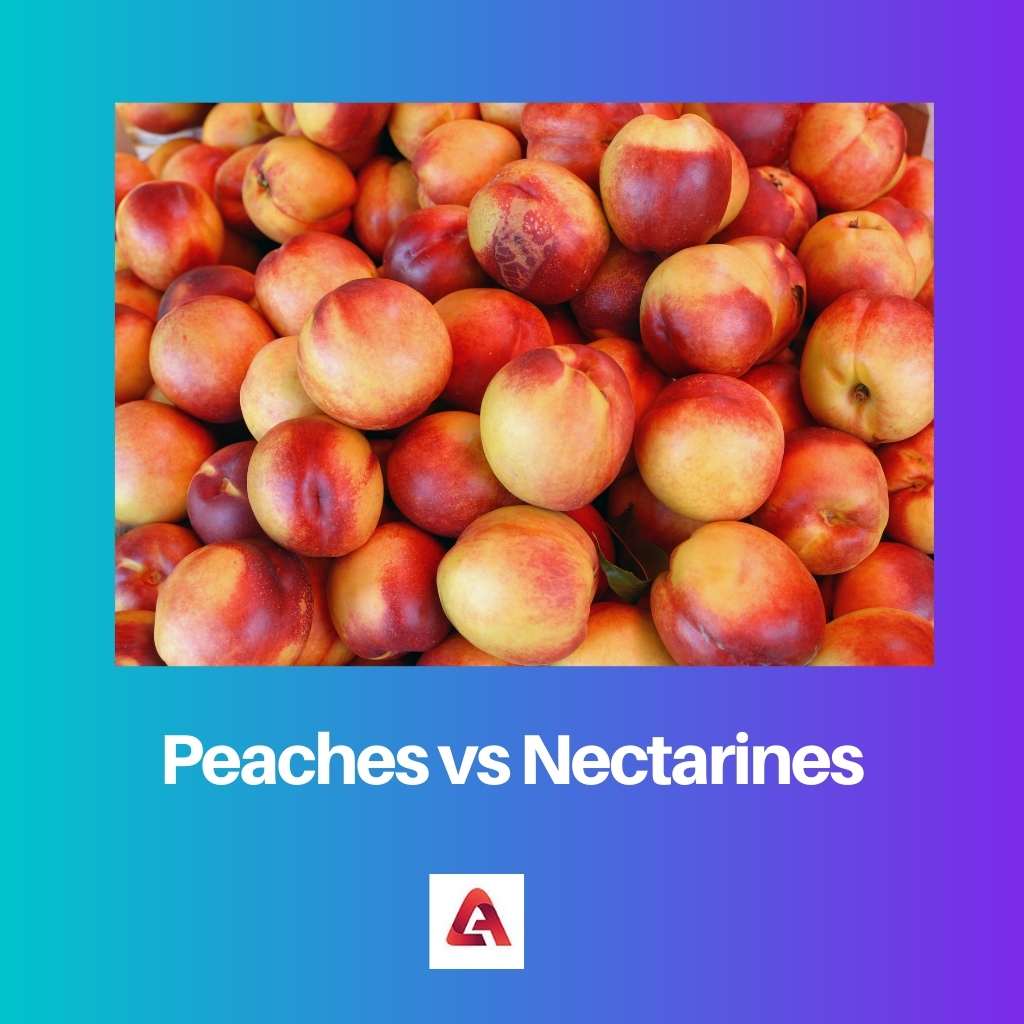 Peaches vs Nectarines