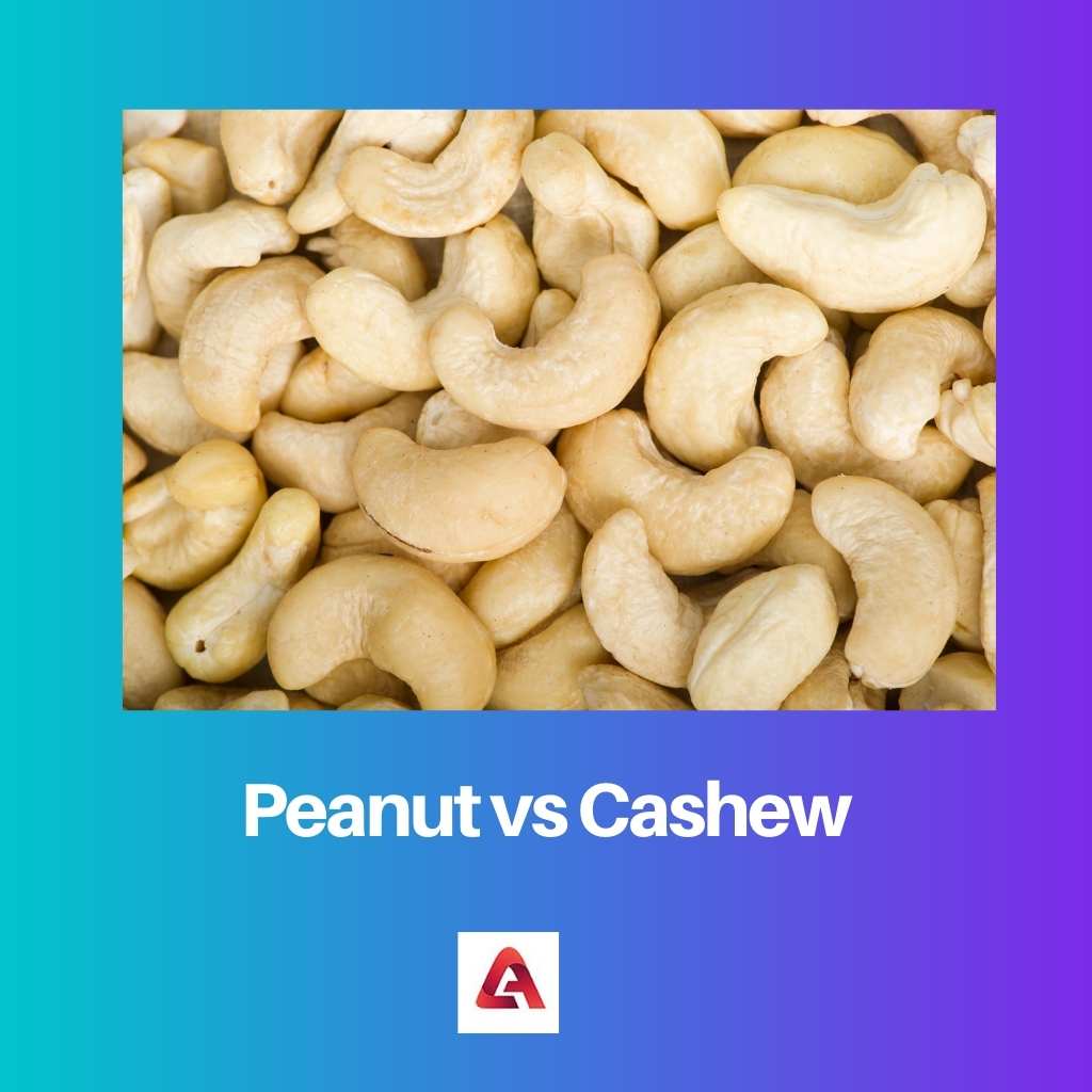 Peanut vs Cashew