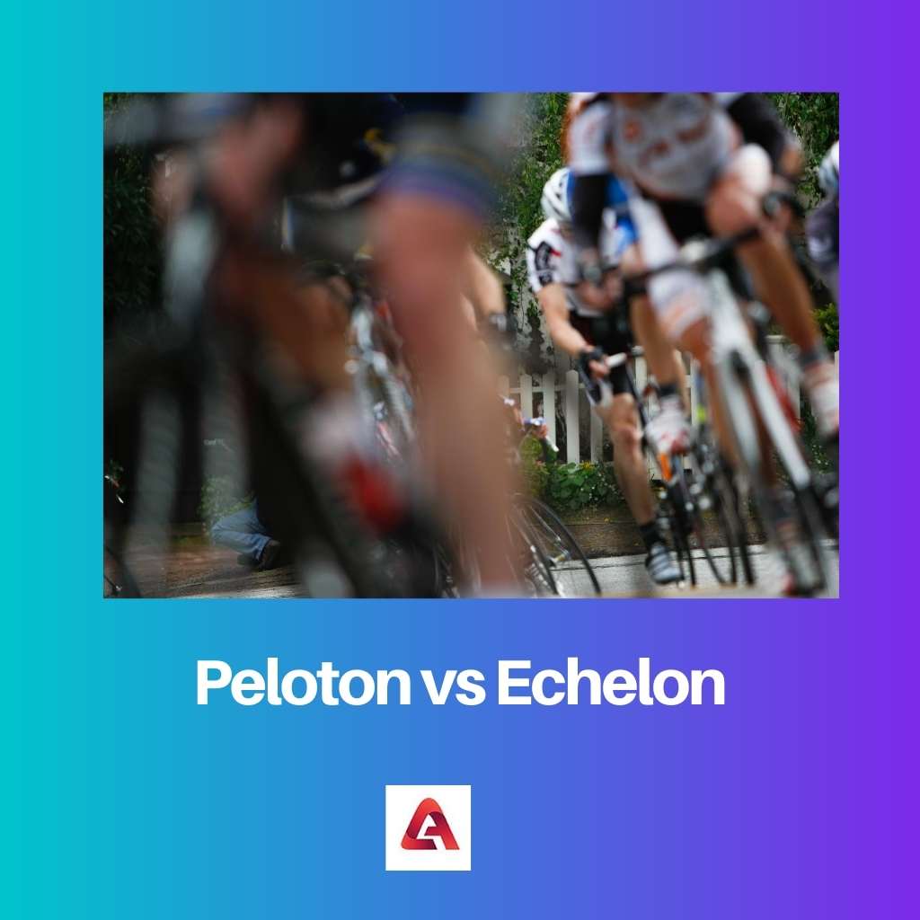 Peloton vs Echelon
