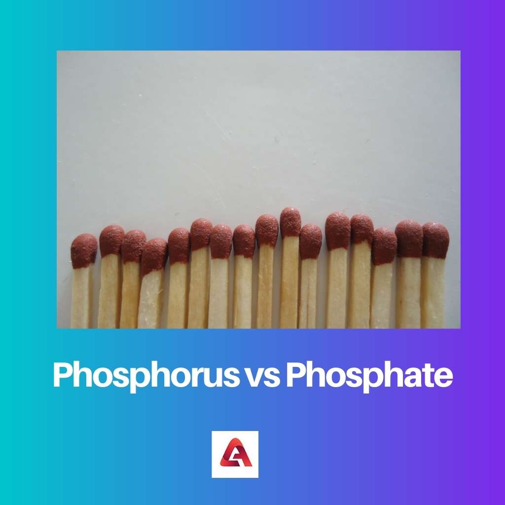 Phosphore vs Phosphate