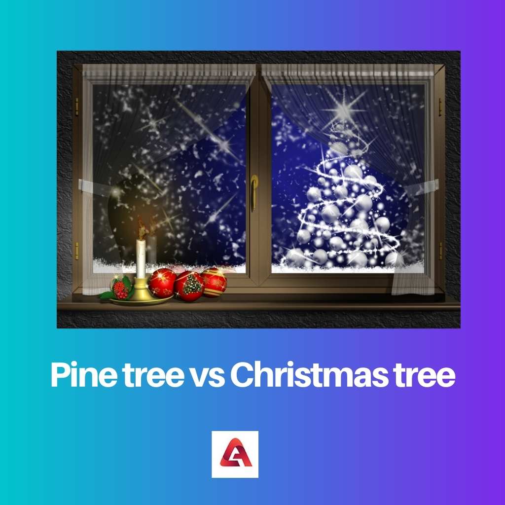 Kiefer gegen Weihnachtsbaum