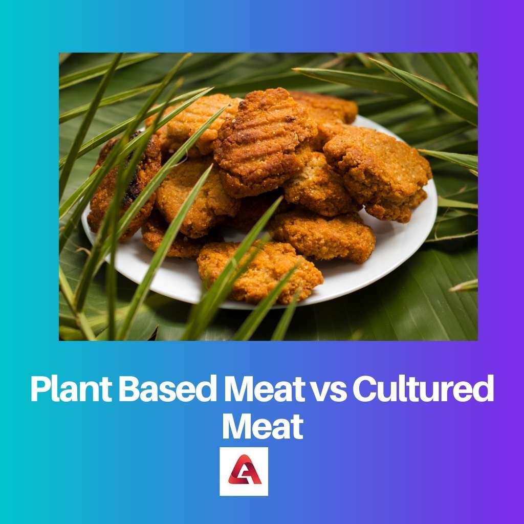 Fleisch auf Pflanzenbasis vs. kultiviertes Fleisch