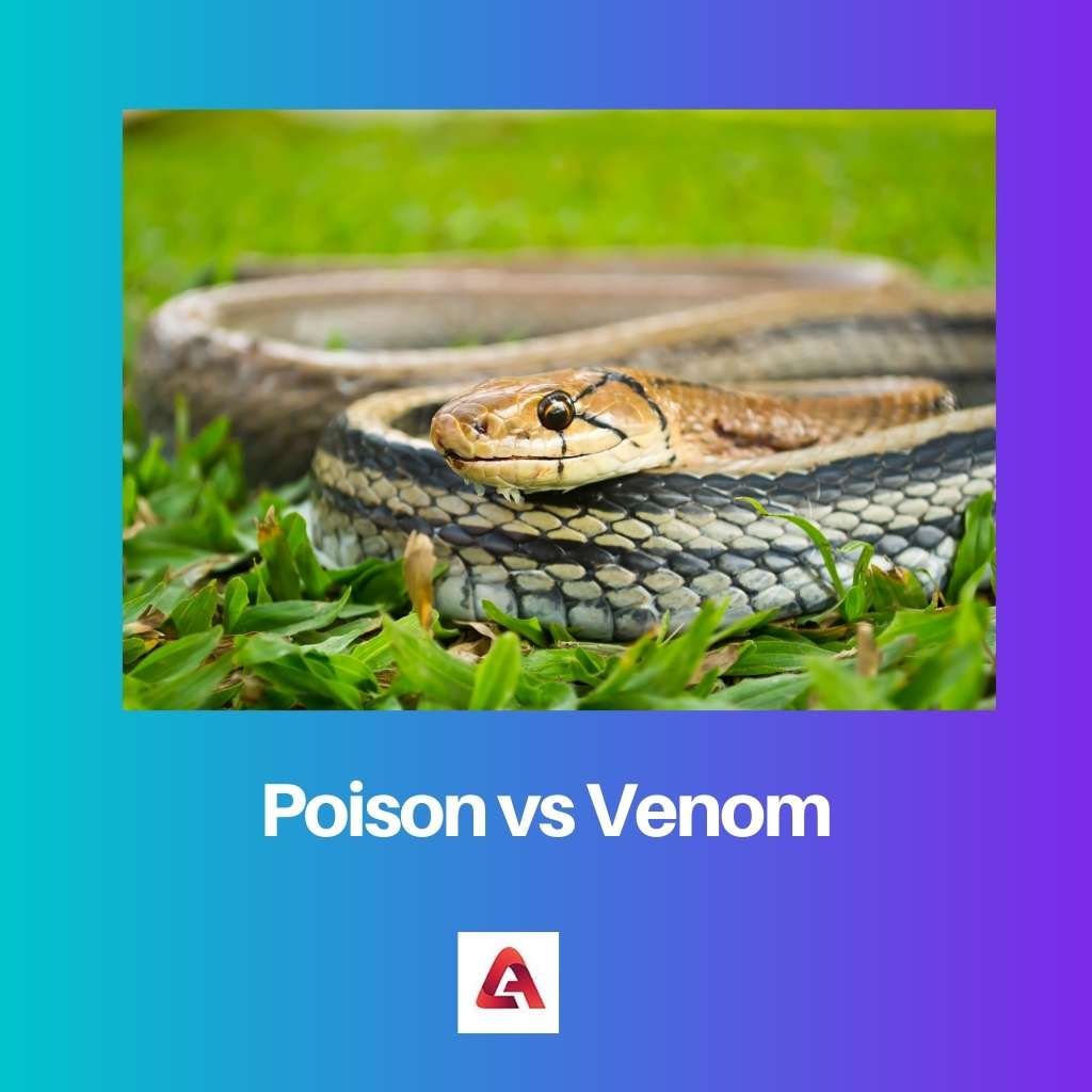Poison vs Venom