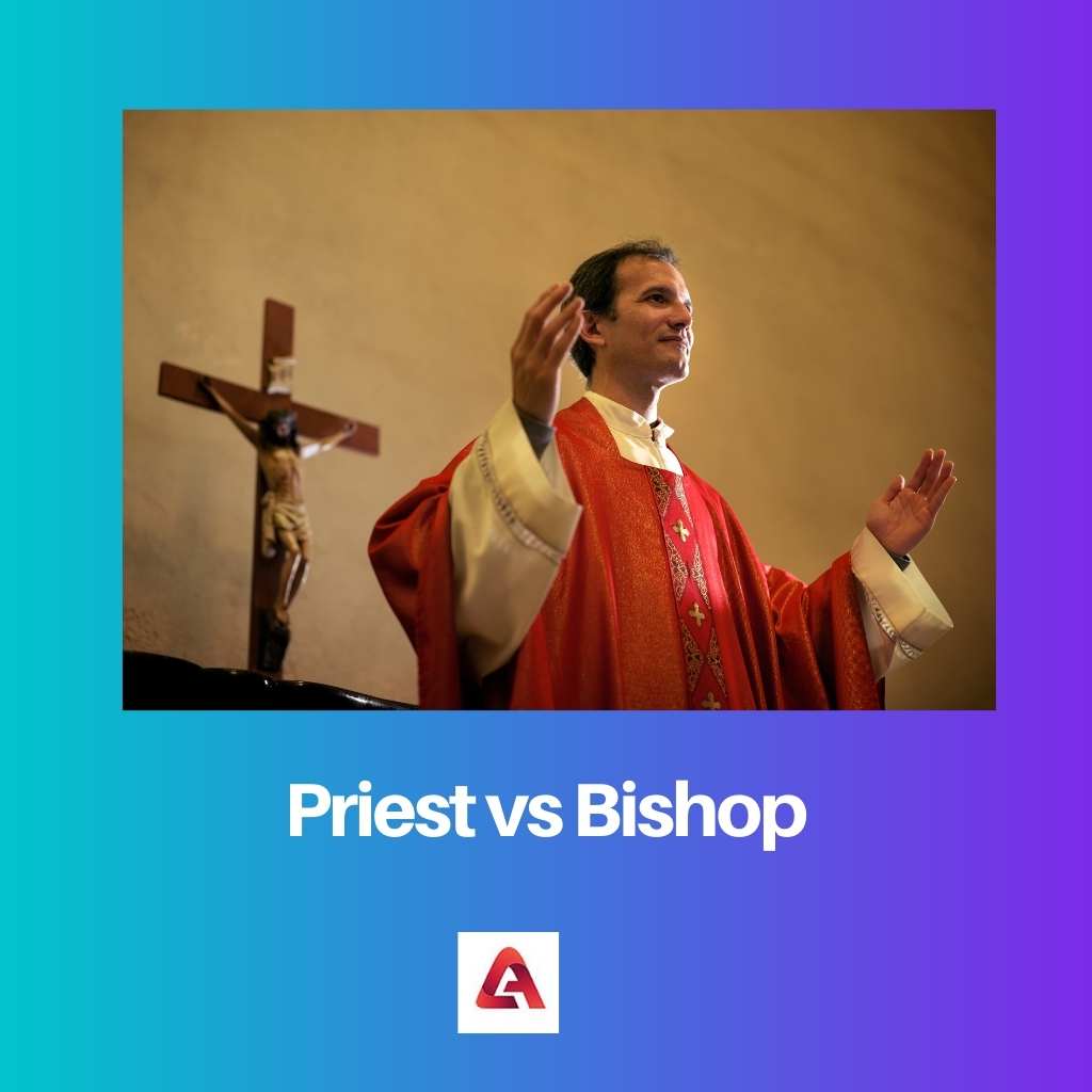 Kněz vs biskup