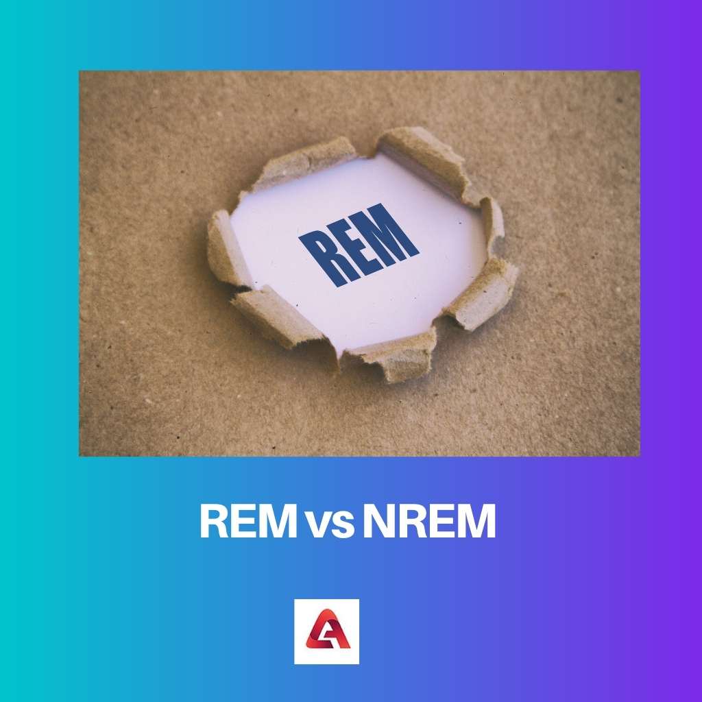 REM vs NREM