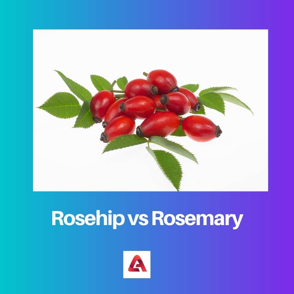 Rosehip vs Rosemary