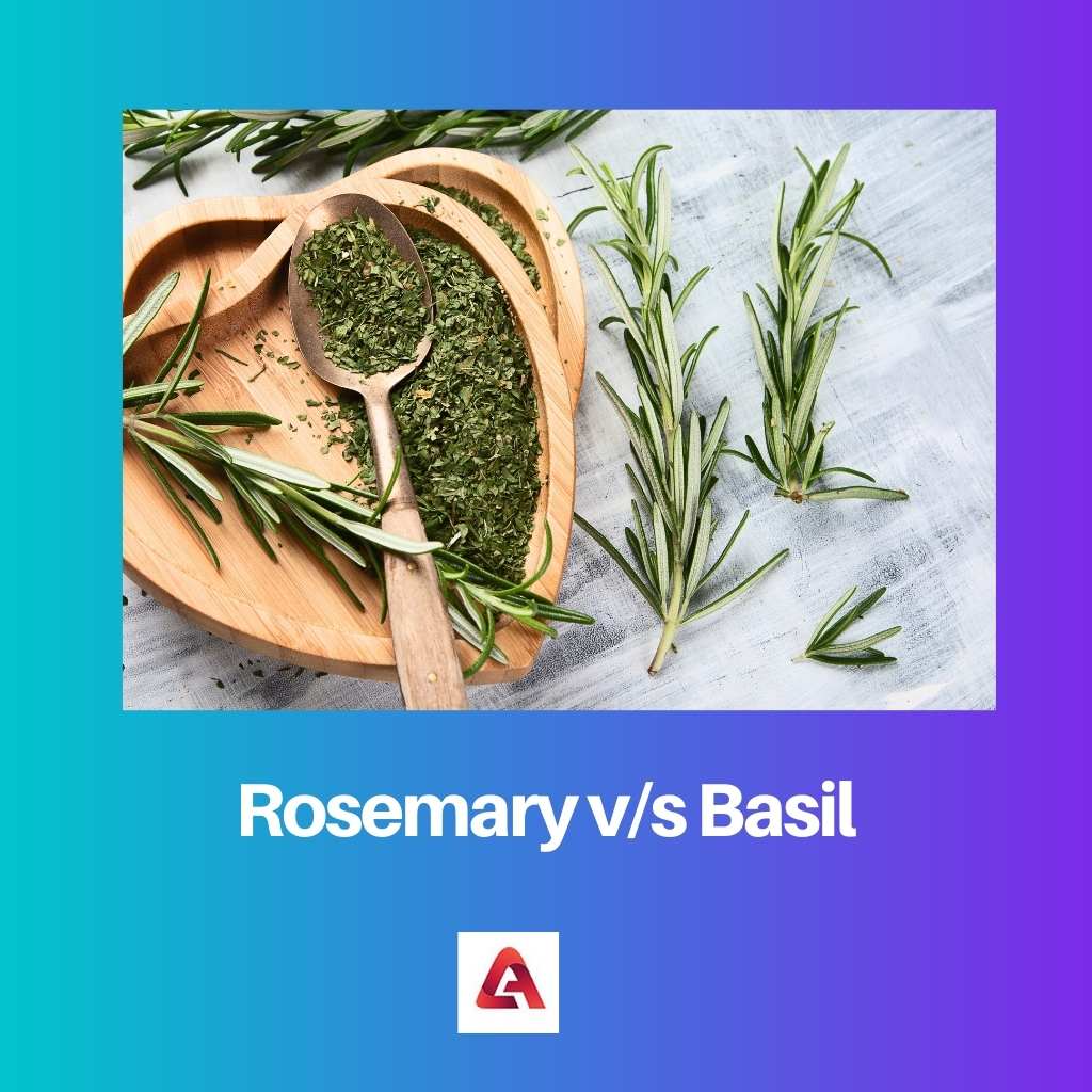 Rosemary vs Basil