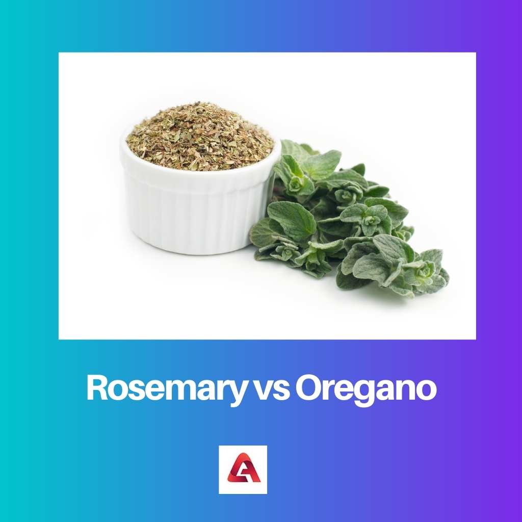Rosemary vs Oregano