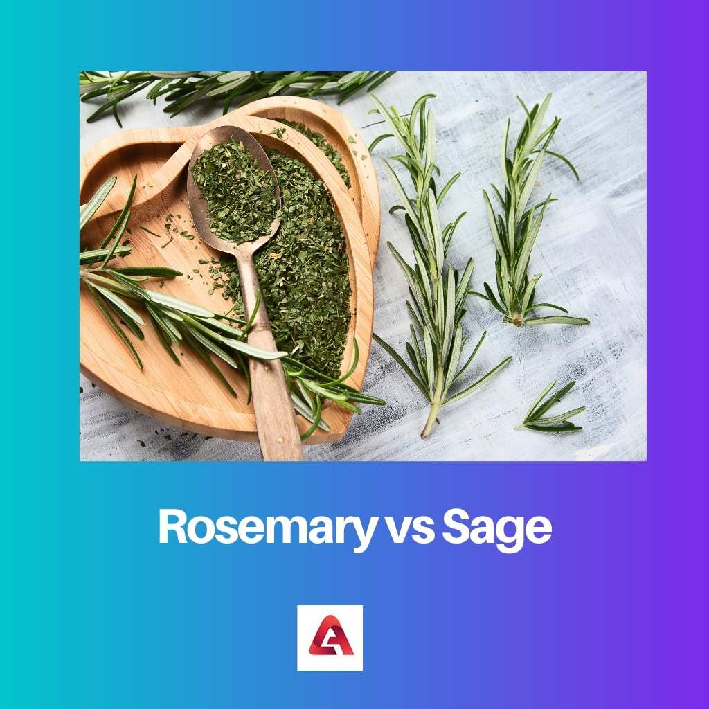 Rosemary vs Sage
