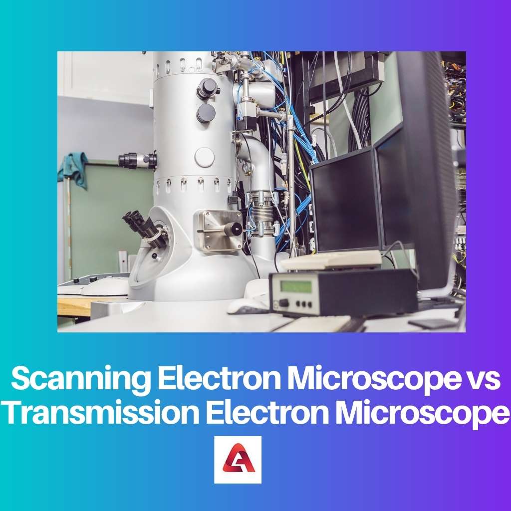 Scanning Electron Microscope vs Transmission Electron Microscope