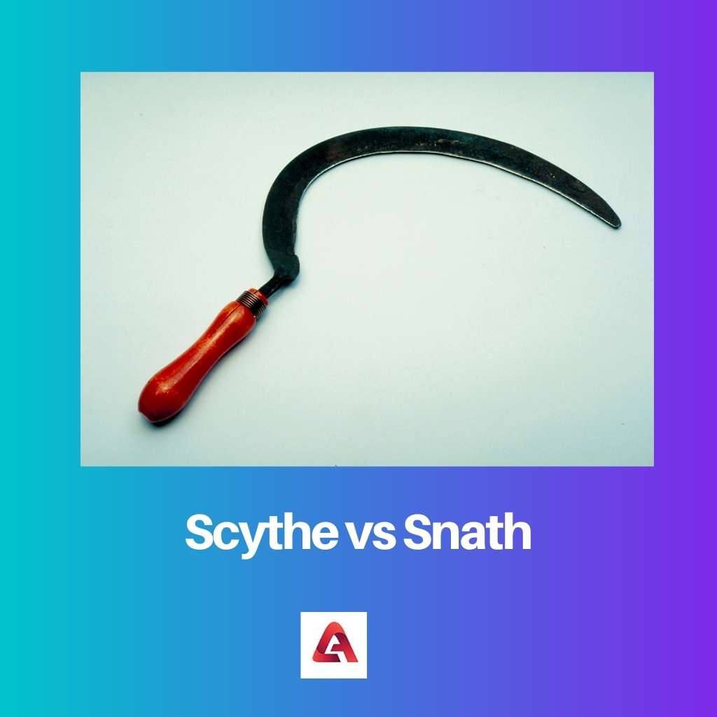 Sabit vs Snath