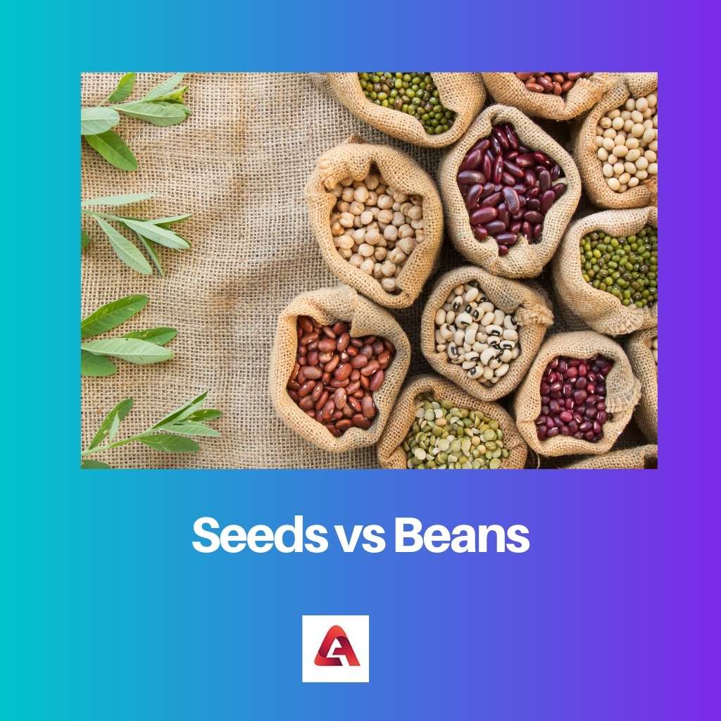 Seeds vs Beans