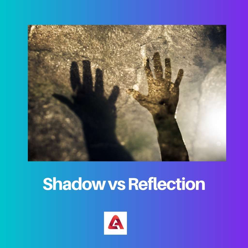 Shadow vs Reflection