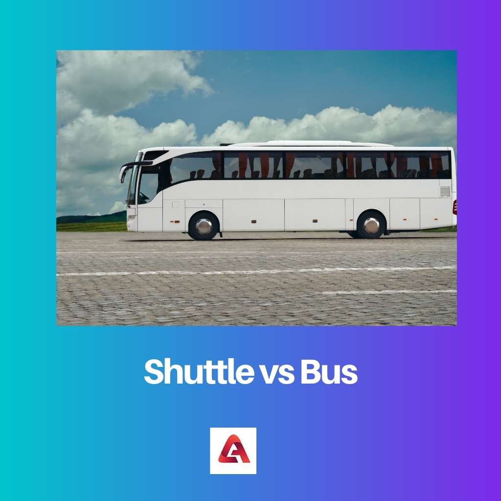 Shuttle vs Bus