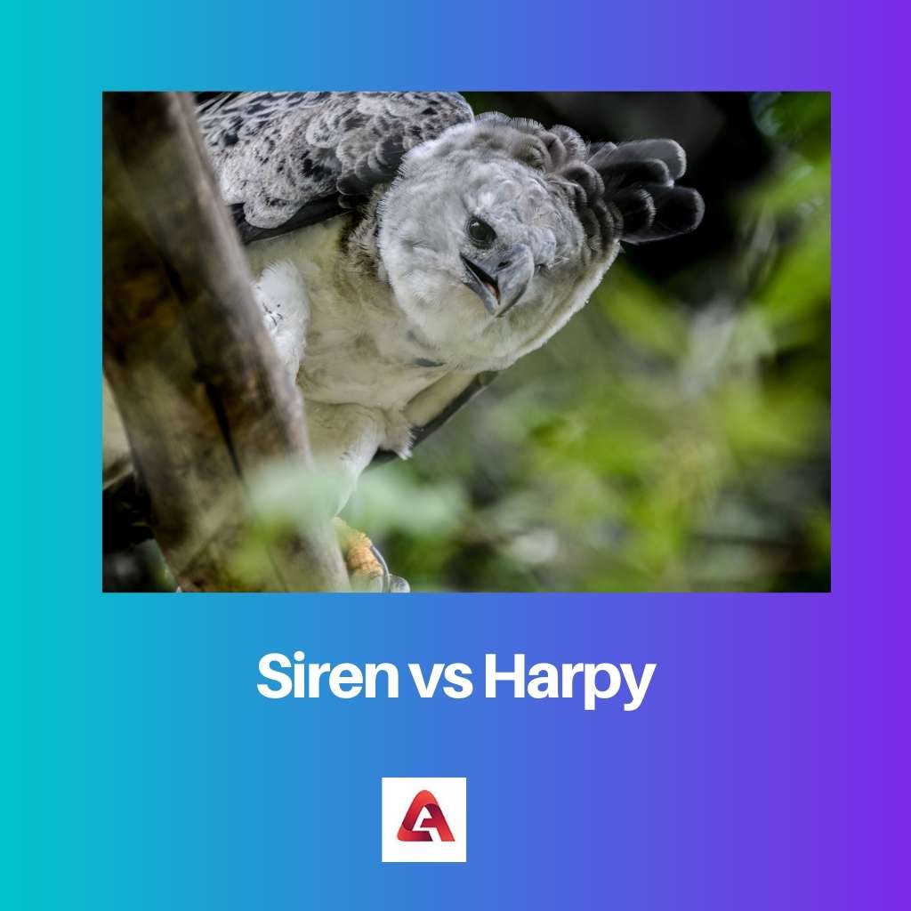 Siren vs Harpy