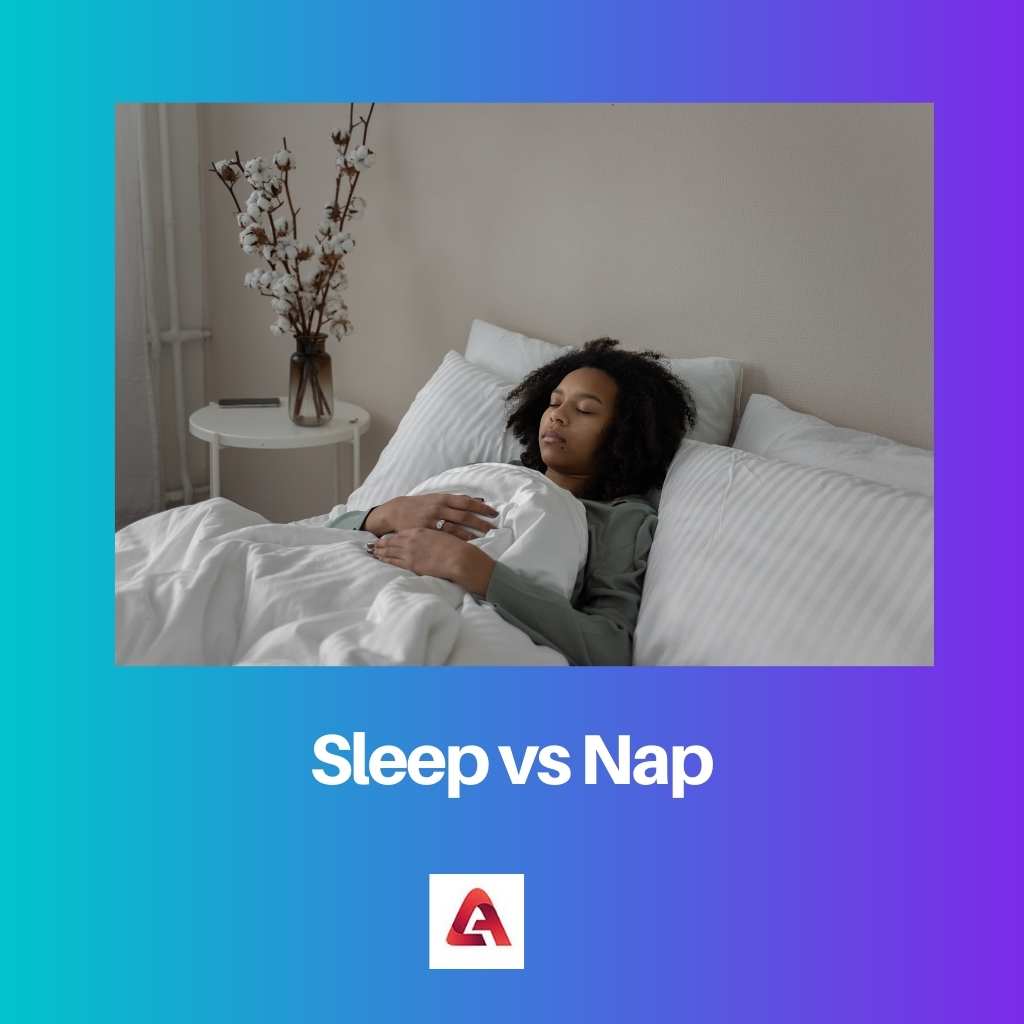Sleep vs Nap