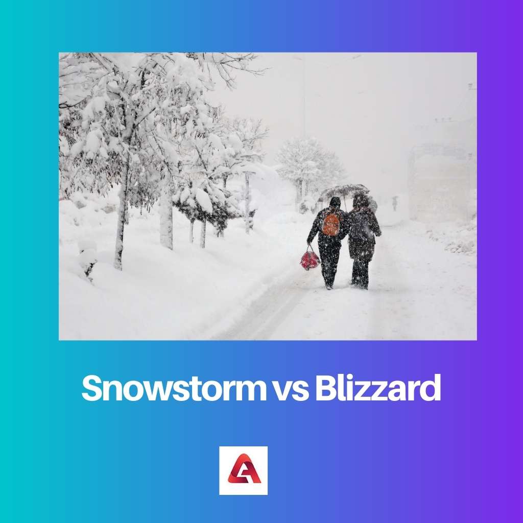 Sneeuwstorm versus Blizzard