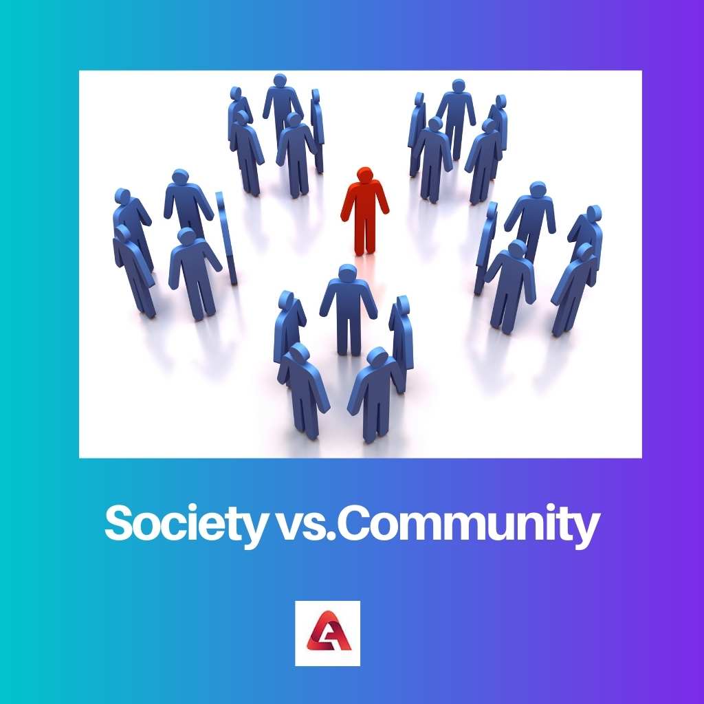 Sociedad vs Comunidad