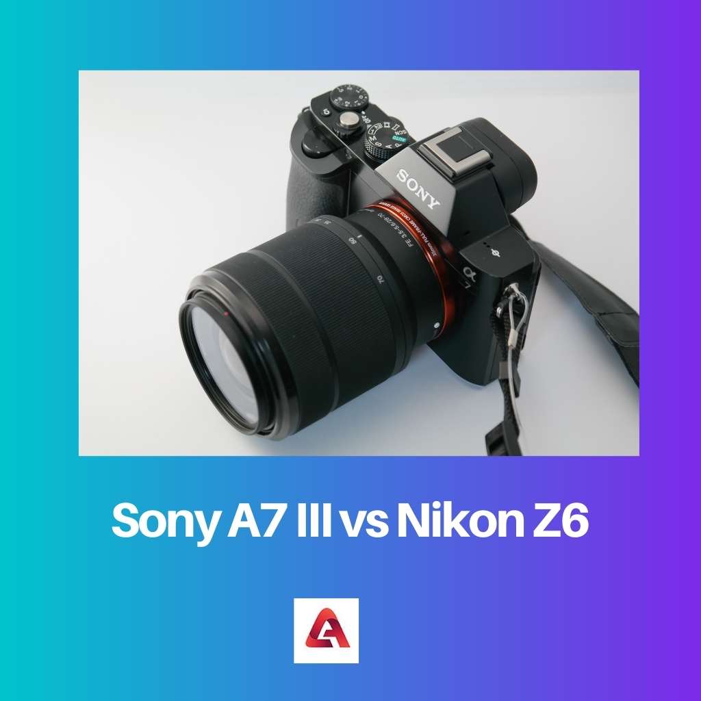 Sony A7 III vs Nikon Z6
