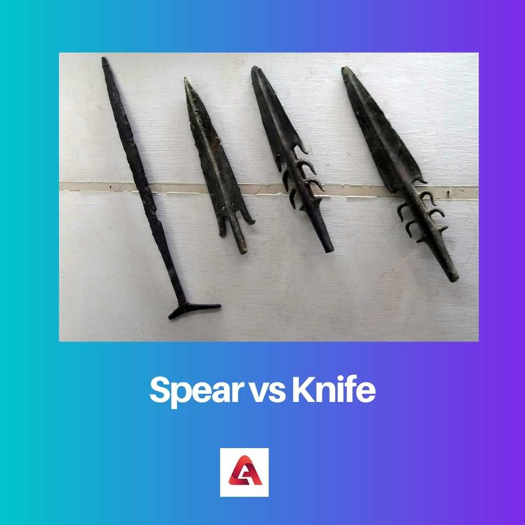 Spear vs Knife