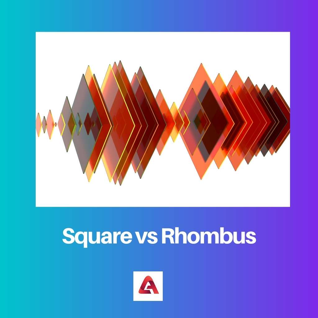สแควร์ vs Rhombus