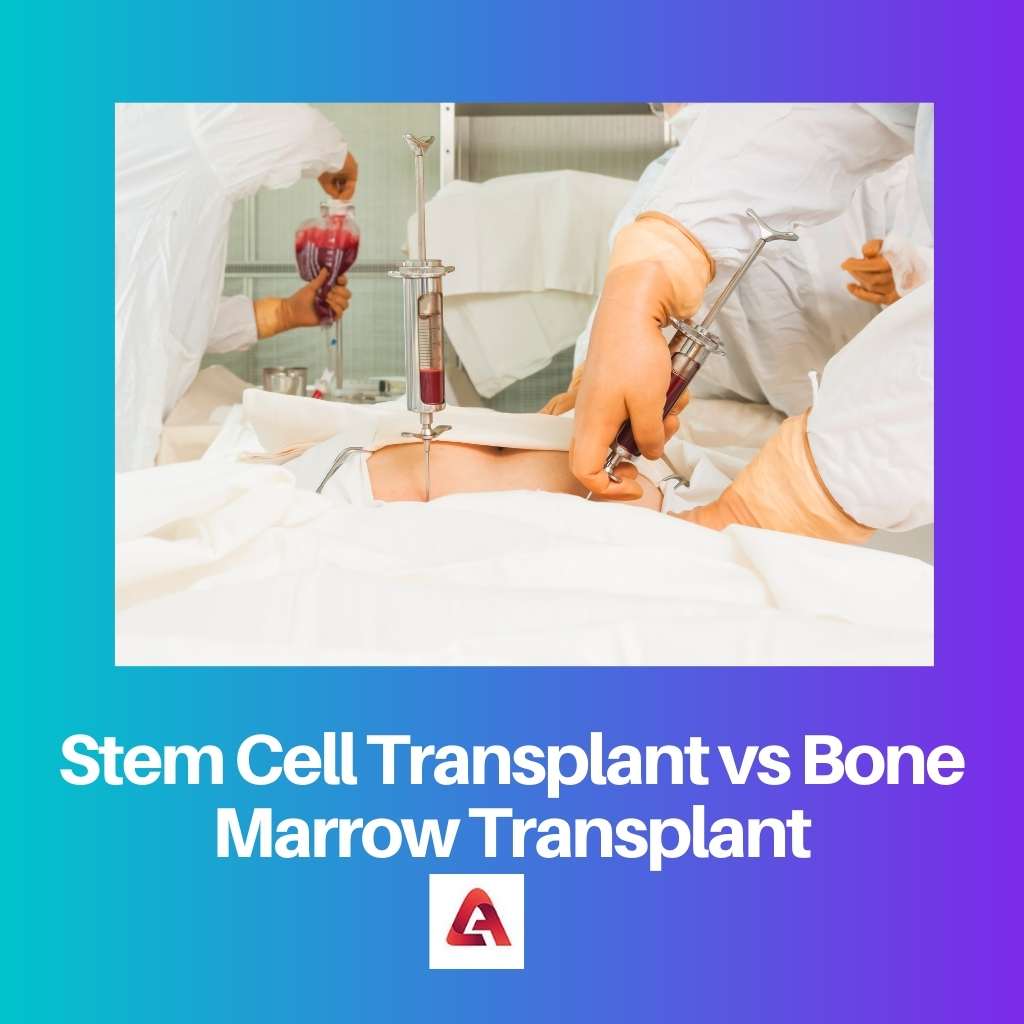 Stammzelltransplantation vs. Knochenmarktransplantation