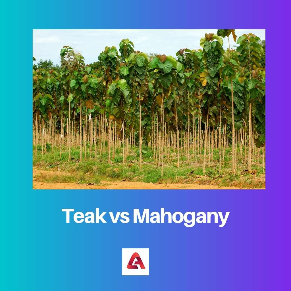 Teak vs Mahogany