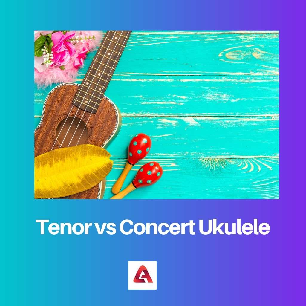 Tenor vs Concert Ukulele