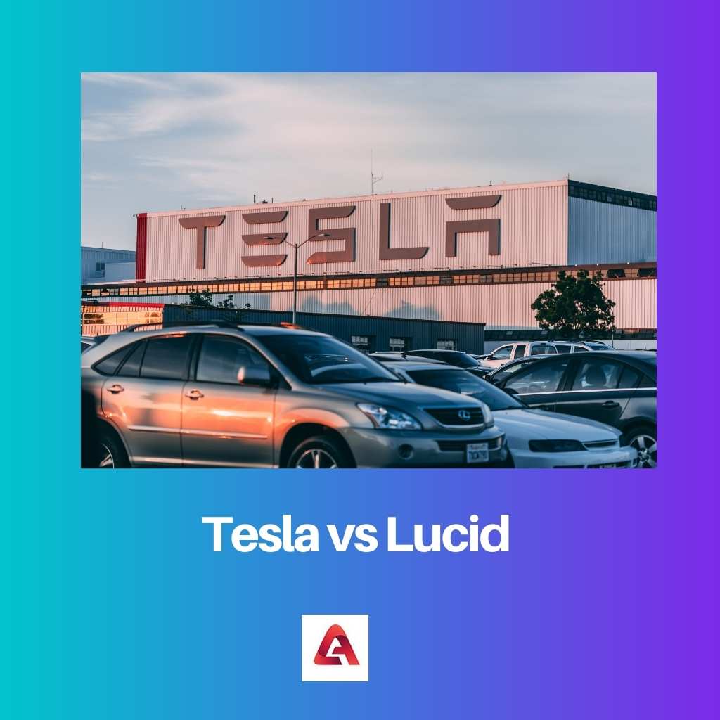 Tesla vs Lucid