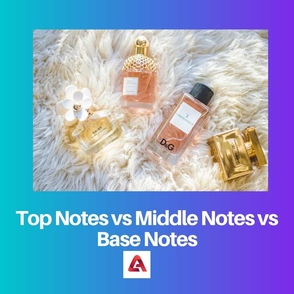 Notes de tête vs notes de milieu vs notes de fond