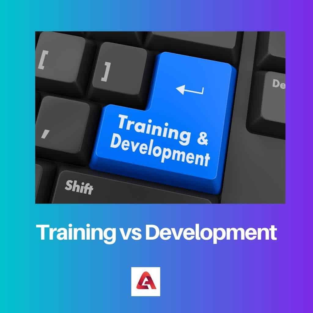 Training vs Development