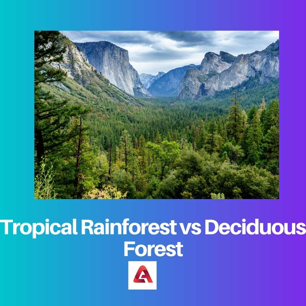 Tropisch regenwoud versus loofbos