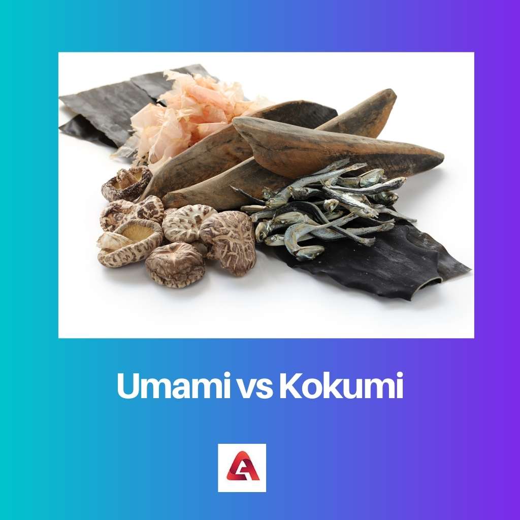 Umami đấu với Kokumi