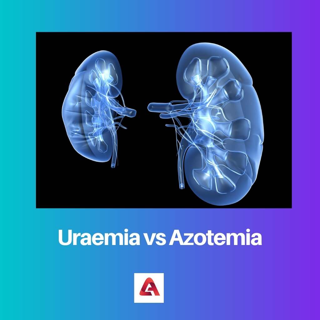 Uraemia مقابل Azotemia