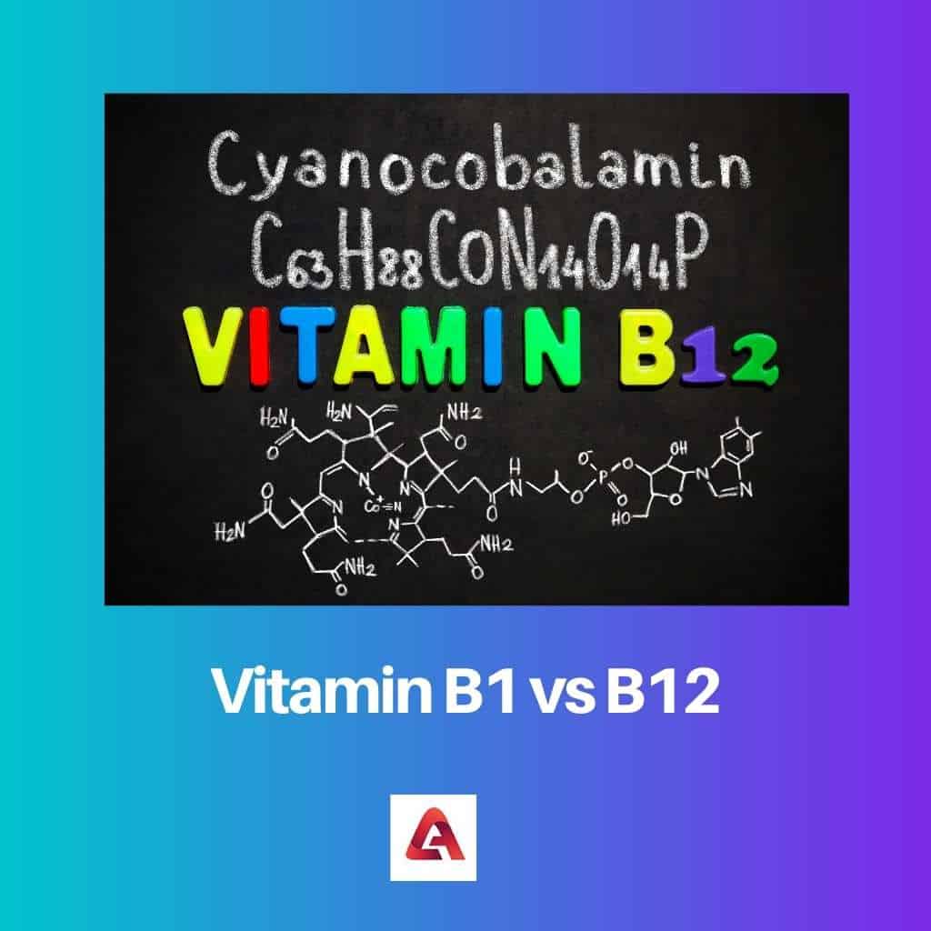 vitamin-b1-vs-b12-difference-and-comparison