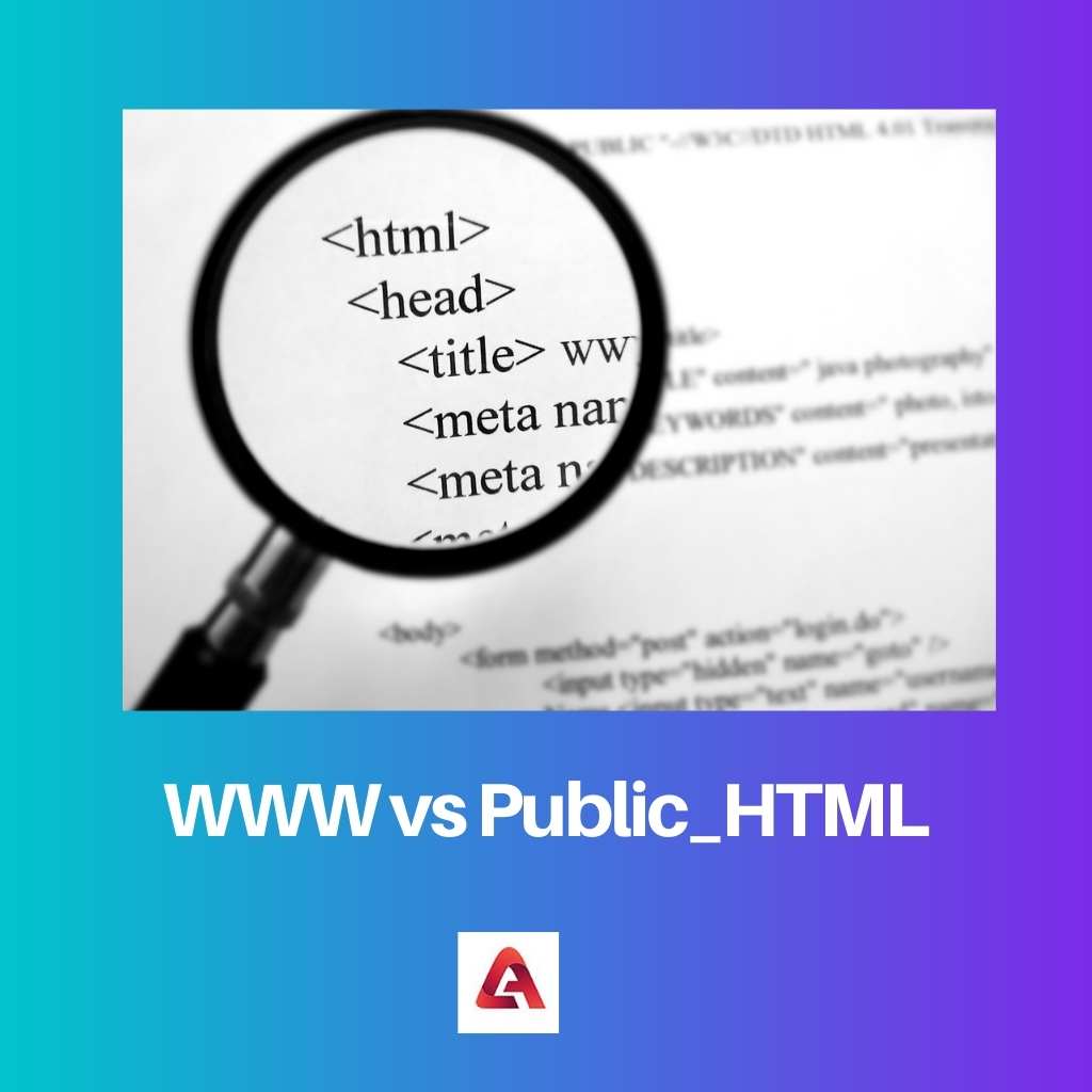 WWW vs Public HTML