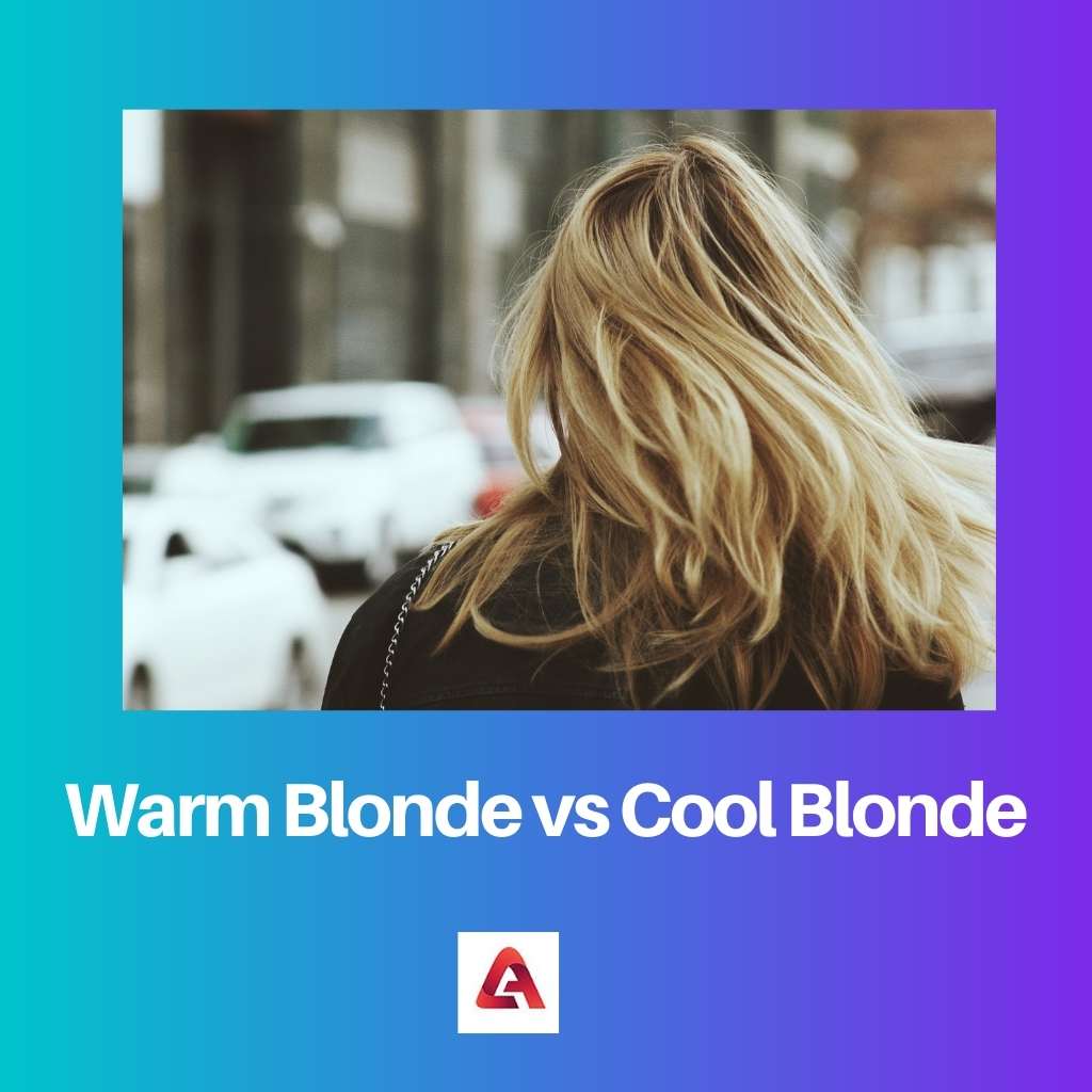 Warm Blonde vs Cool Blonde