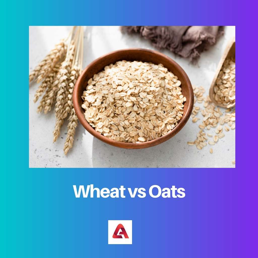 Wheat vs Oats