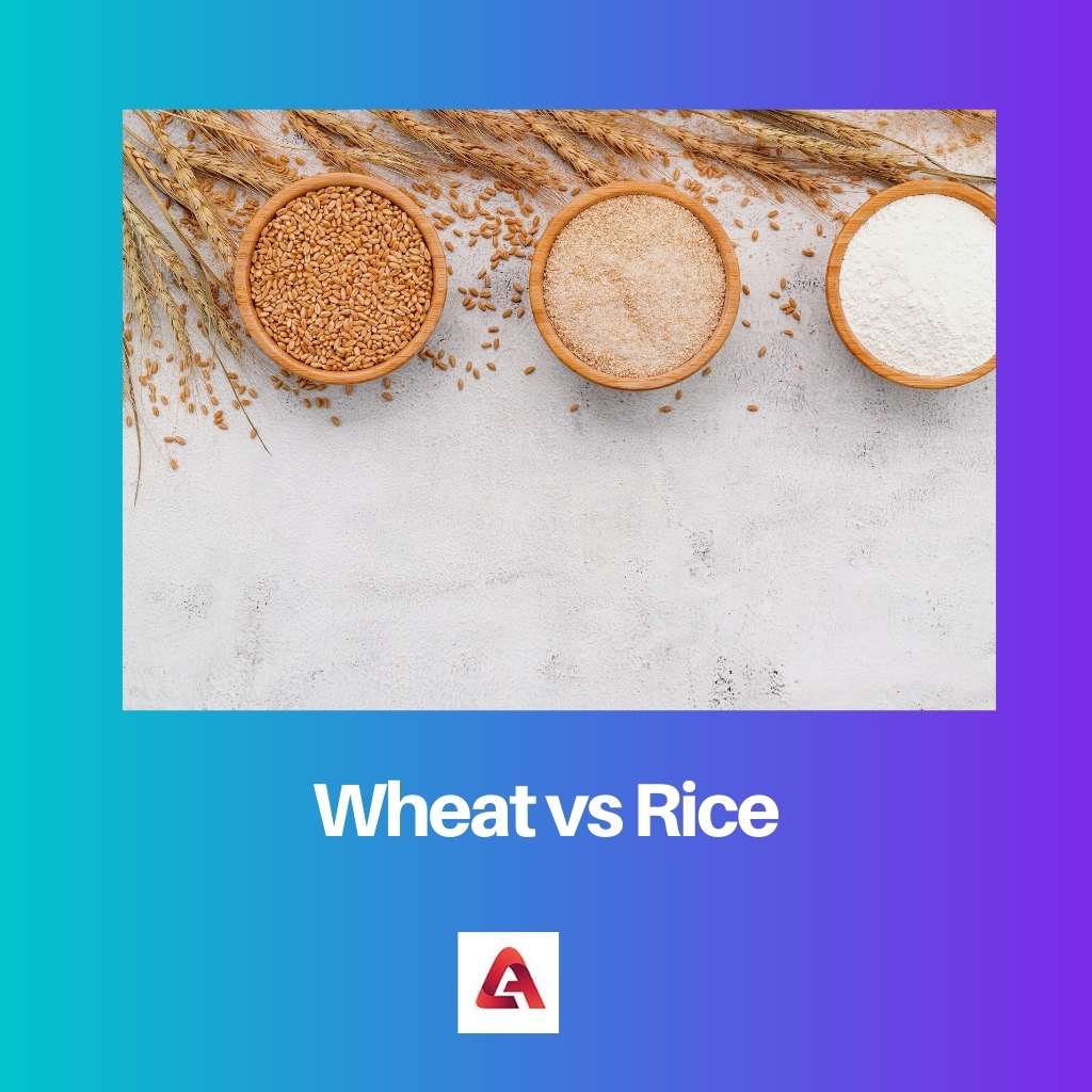 القمح مقابل الأرز