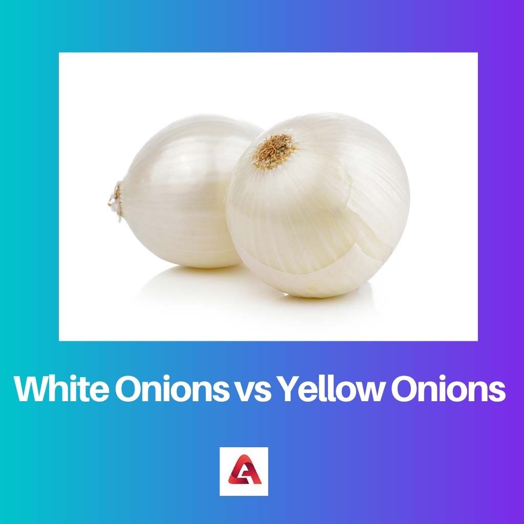 Cebollas Blancas vs Cebollas Amarillas